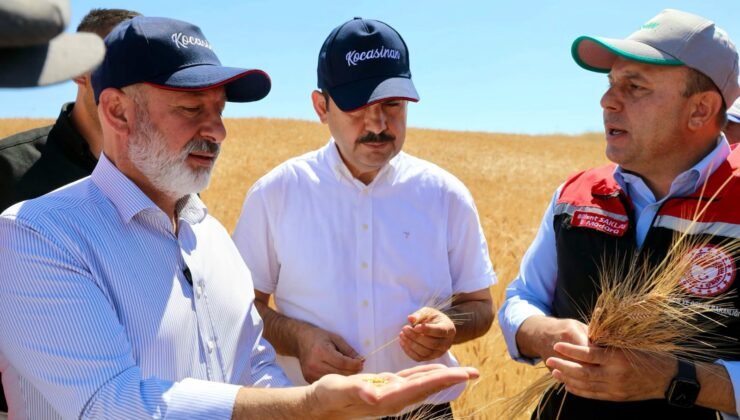 Başkan Çolakbayrakdar, çiftçilerle buluştu, hasada katıldı