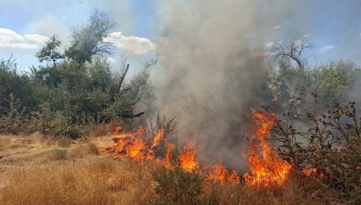 Bünyan’da çalılık alanda çıkan yangın yulaf tarlasına sıçradı; ekiplerin müdahalesi sürüyor
